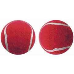 Matrica Leather Standard Red Professional Grade Impact Cricket Tennis Ball for Club Play (Pack of 2)