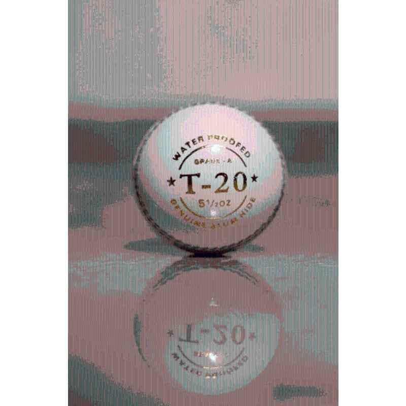 KK Sports T-20 White Leather Cricket Ball