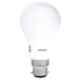 Philips 12W Cool Day White Standard B22 LED Bulb, 929001277622 (Pack of 10)