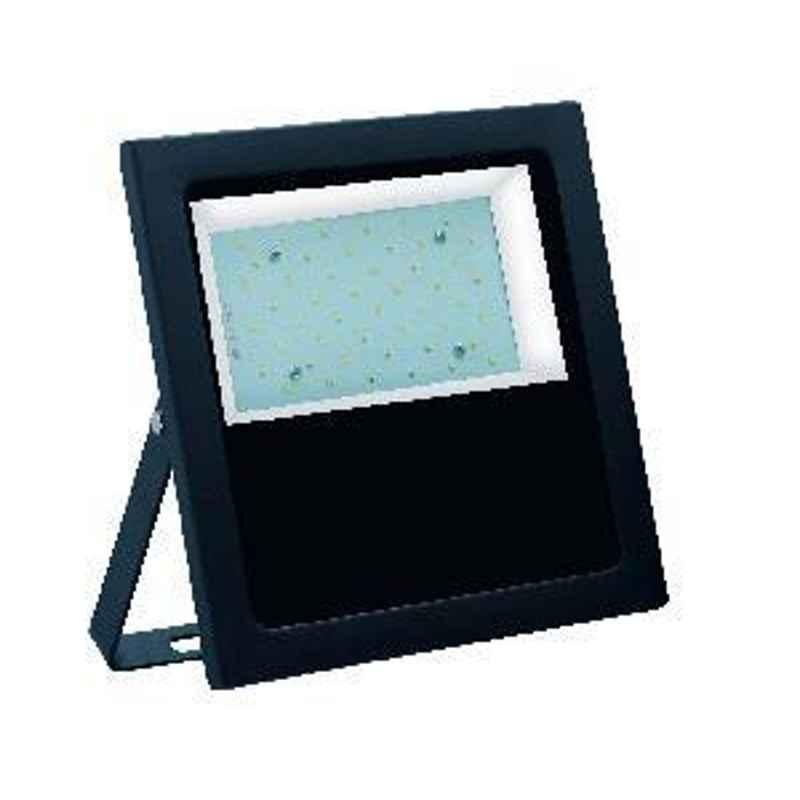 Ecolux 60W LED Eco Flood Light