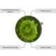 Atom 1.25 Inch Green Small Handmade Glass Bubble Cabinet Door knob (Pack of 6)