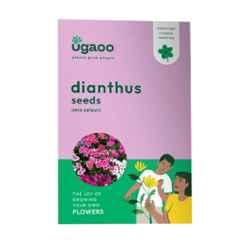 Ugaoo 25g Flower Dianthus Mix Seeds, NUFSO038