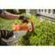 Stihl HSA 66 20 inch Hedge Trimmer, 48510113520