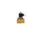 Techno 1 Inch 2/2 Way 24V DC Diaphragm Valve 2W-250-25