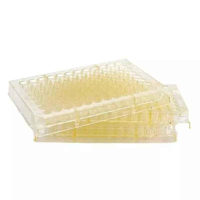 Lab Plus Assay Plate, LP-4663 (Pack of 10)