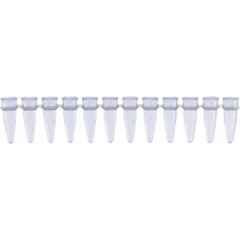 Abdos 0.2ml 8 Strip Polypropylene Standard Tube, P10706