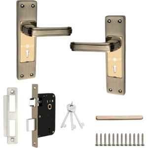 Buckler 8 inch Iron Gold Matte & Glossy Door Handle Set, B-360-ANT-1 Set