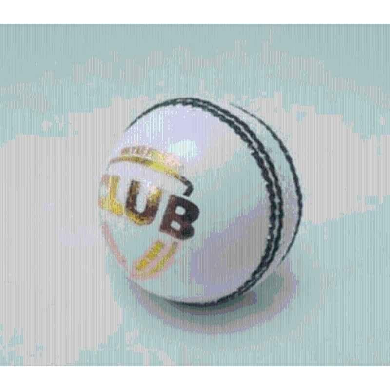 HTM Premium Two Pcs Cricket Leather Ball for practice & hobby play Cricket Leather Ball