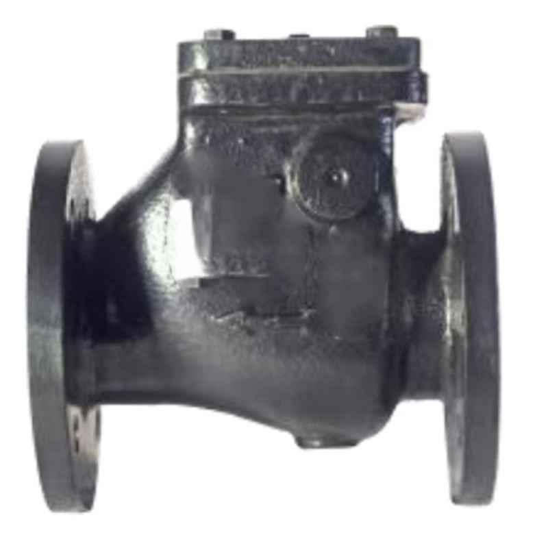 Lehry Valves 65mm DuctiIe Iron PN16 Swing Check Type Reflux Valve with ISI Mark, LIV-RFV-DI-003-picture-38