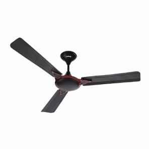 Activa Windsor 50W 390rpm 3 Blade Smoke Brown Ceiling Fan with 2 Years Warranty, Sweep: 1200 mm