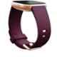 Fitbit Versa 2 Silicone Purple Strap Smart Watch, FB507RGRW