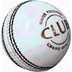 LSI Sports Standard White Cricket Leather Ball
