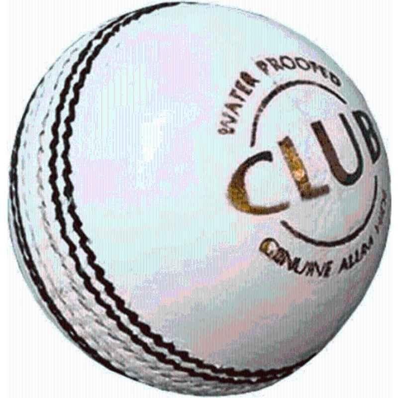 LSI Sports Standard White Cricket Leather Ball