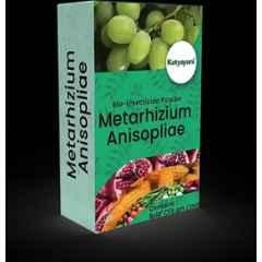 Katyayani 1kg Metarhizium Anisopliae Bio Insecticide Powder, K-5164 (Pack of 3)