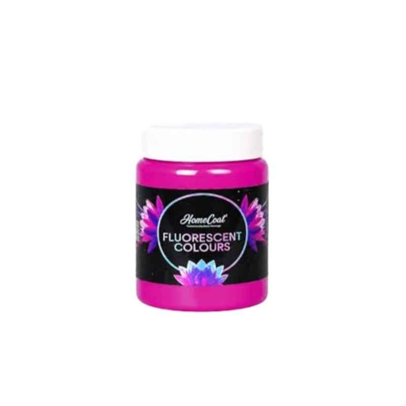 WinnerOne HomeCoat 500ml Purple Fluorescent Colour, FC216 (Pack of 2)