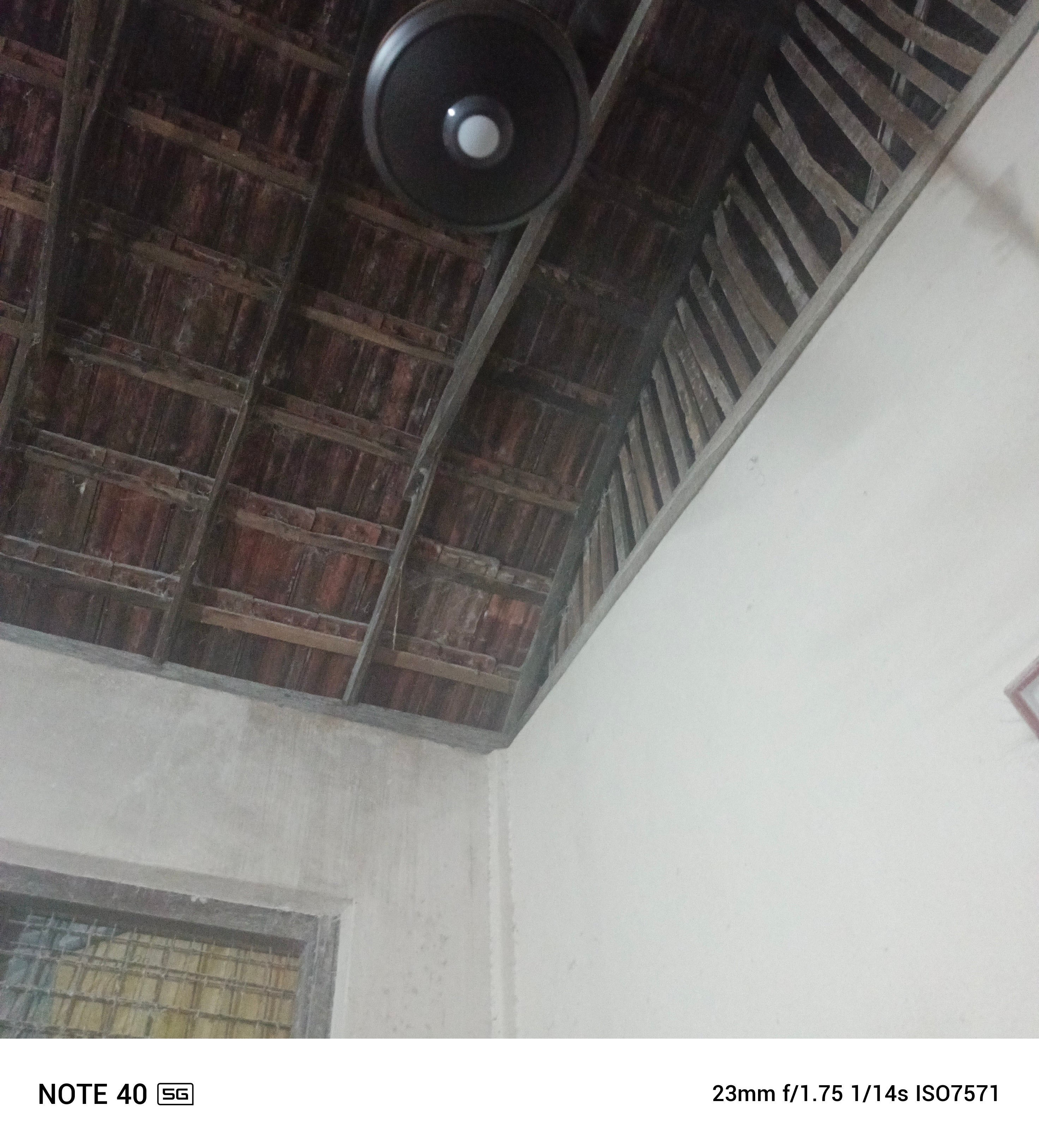Customer Review Image