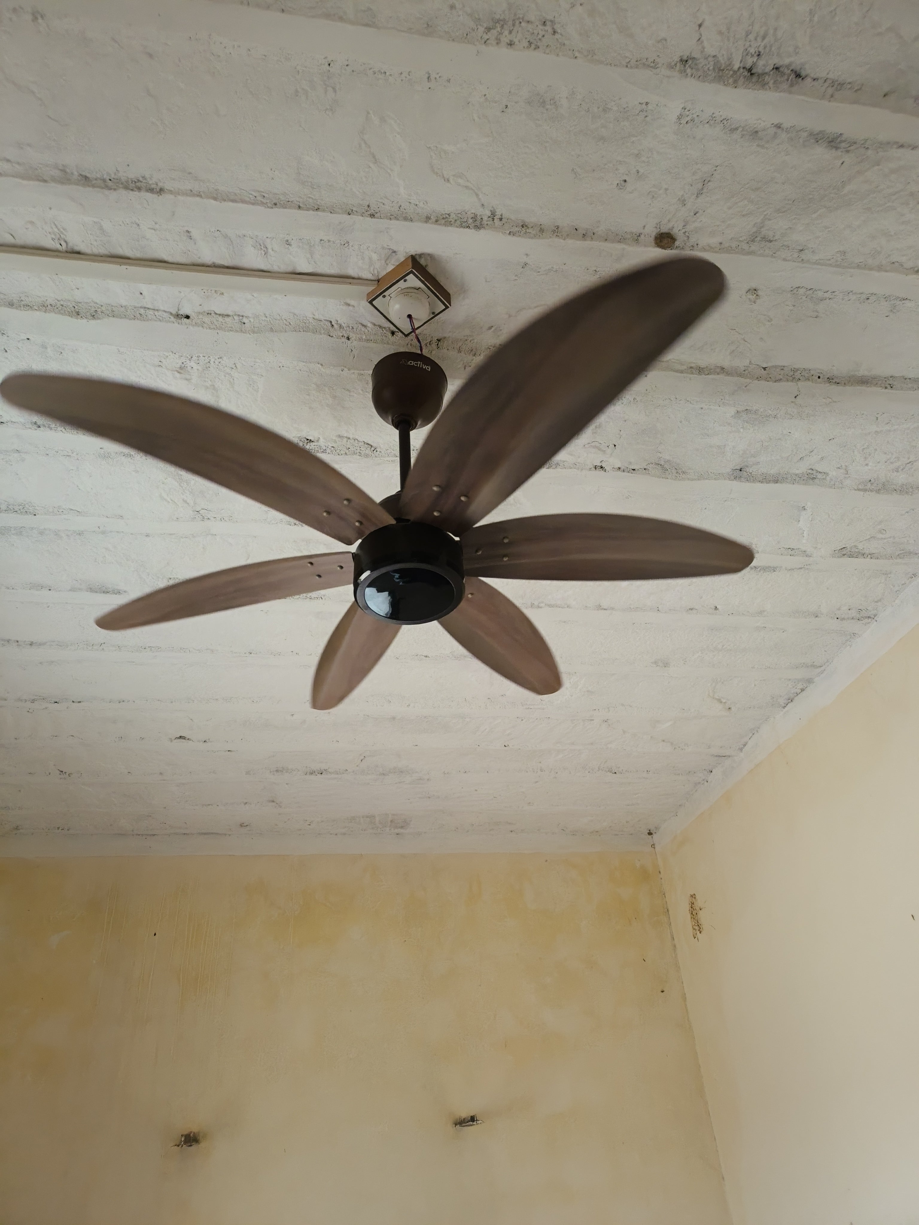 Customer Review Image