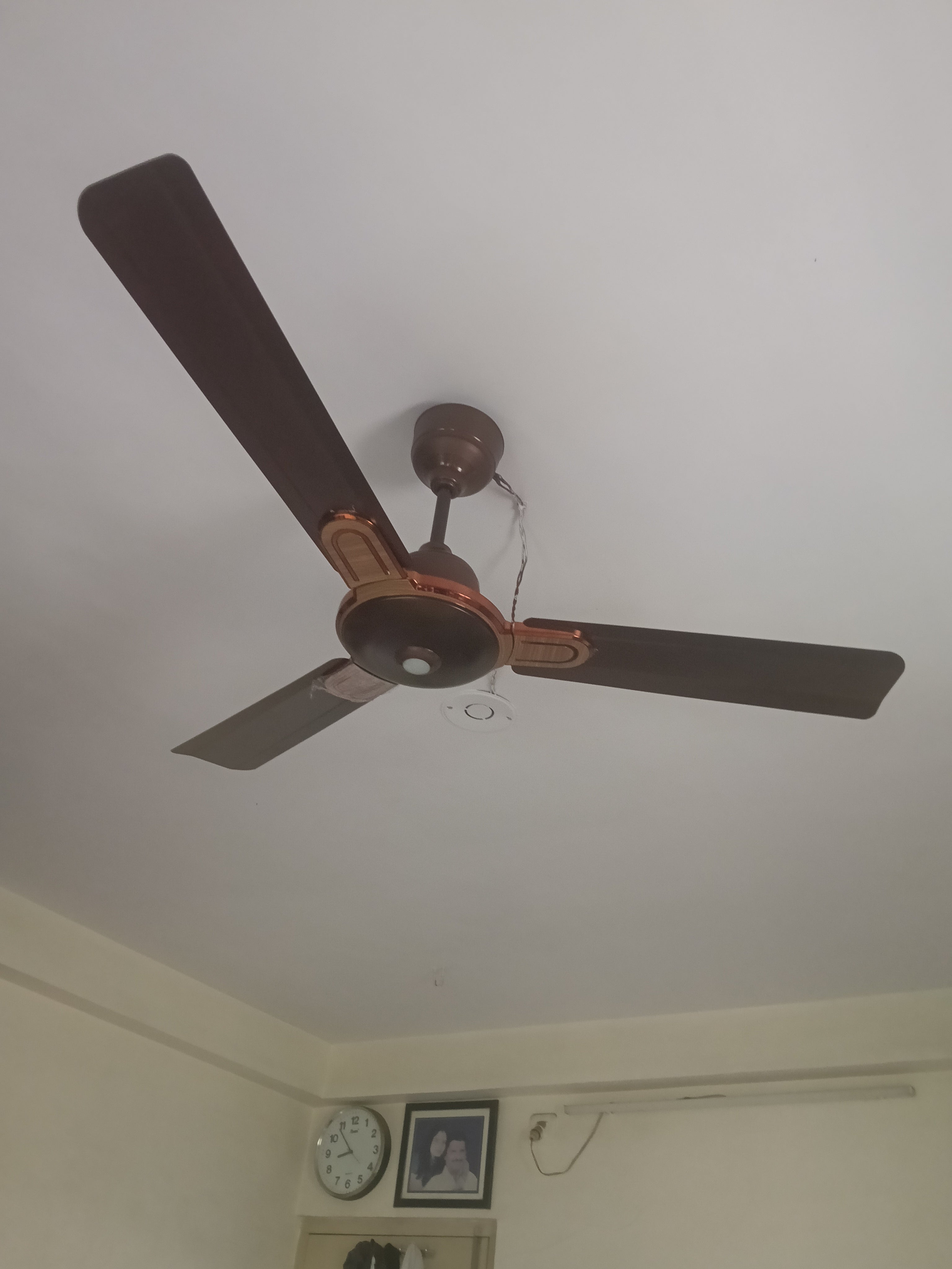 Customer Review Image