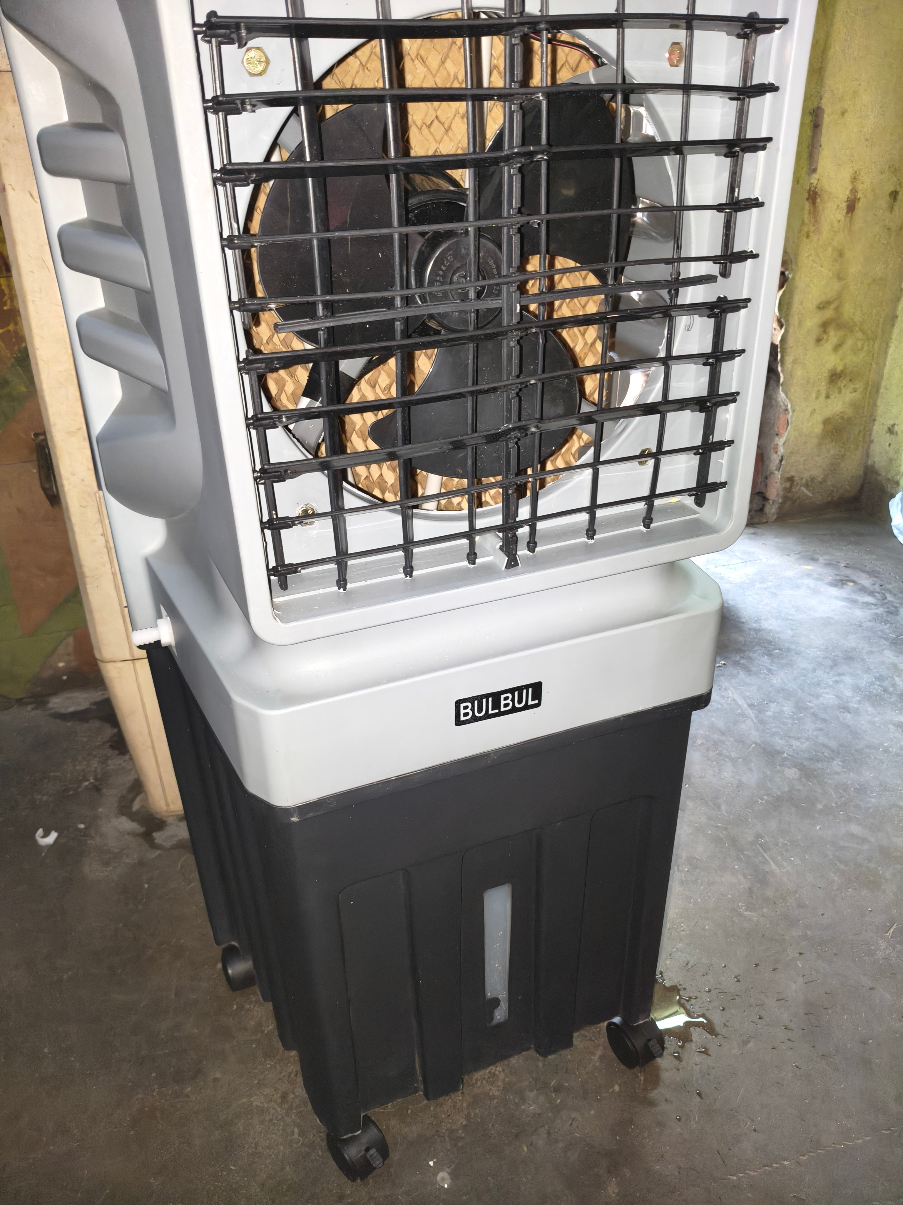 Customer Review Image