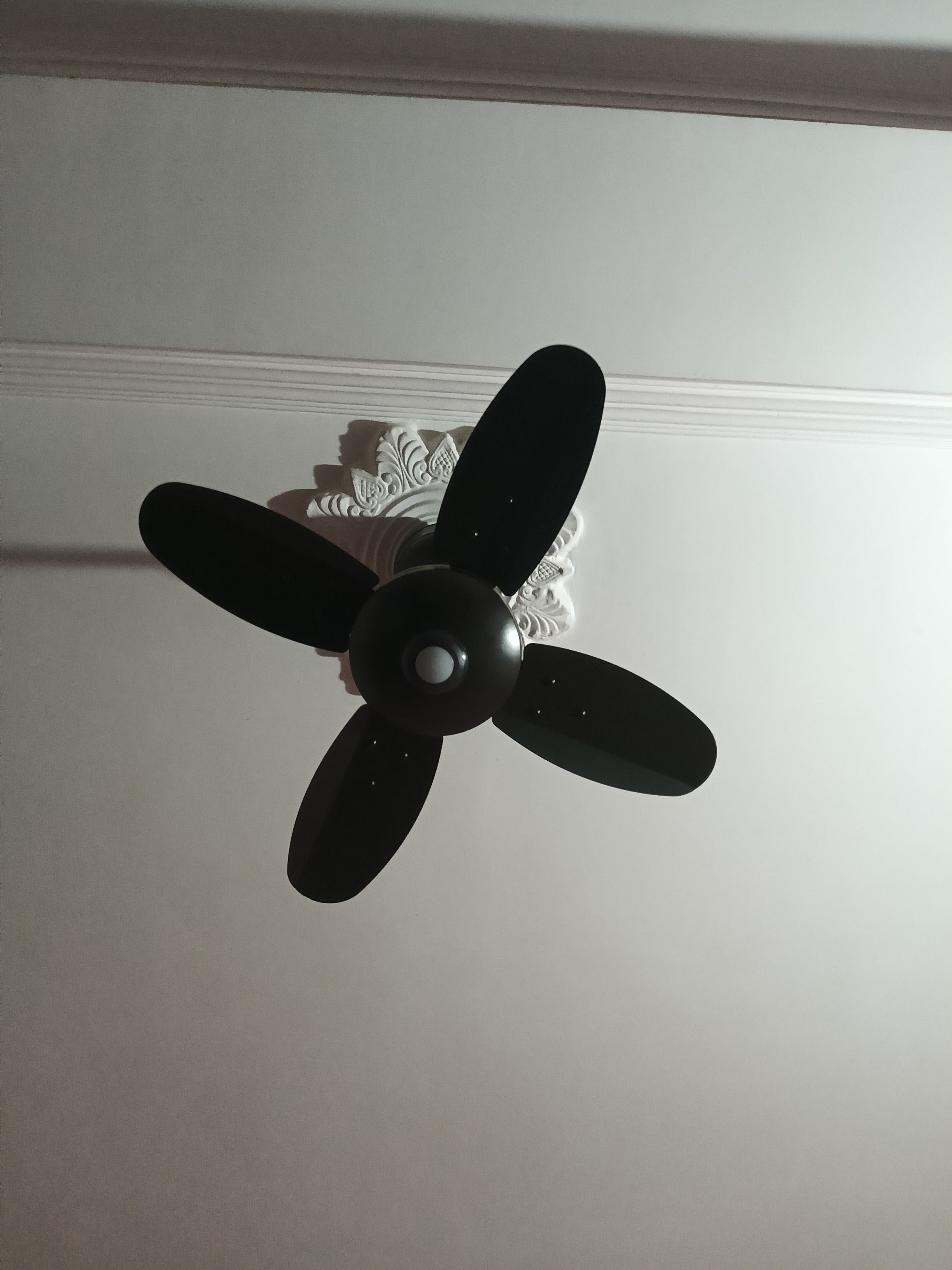 Customer Review Image