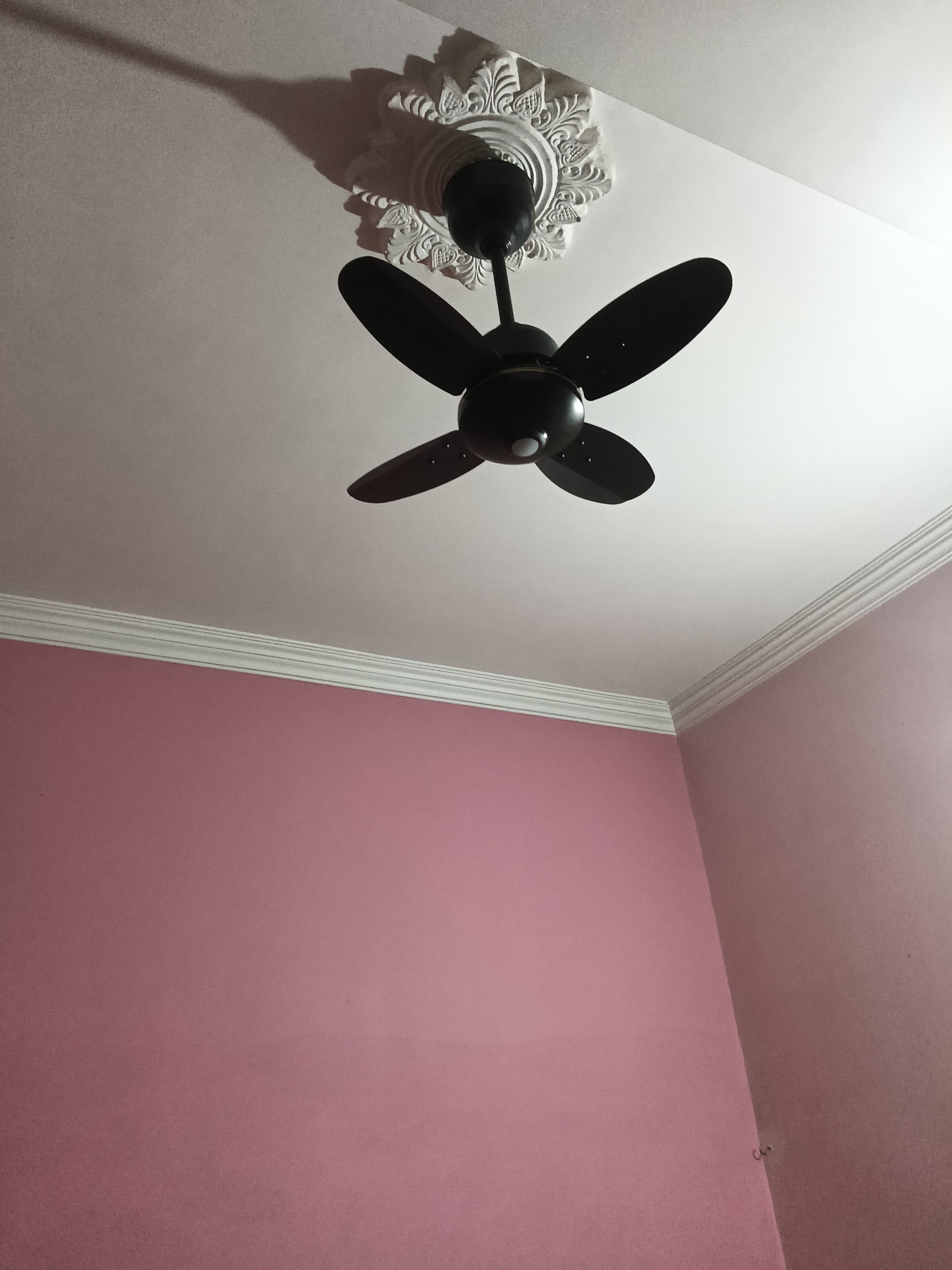 Customer Review Image