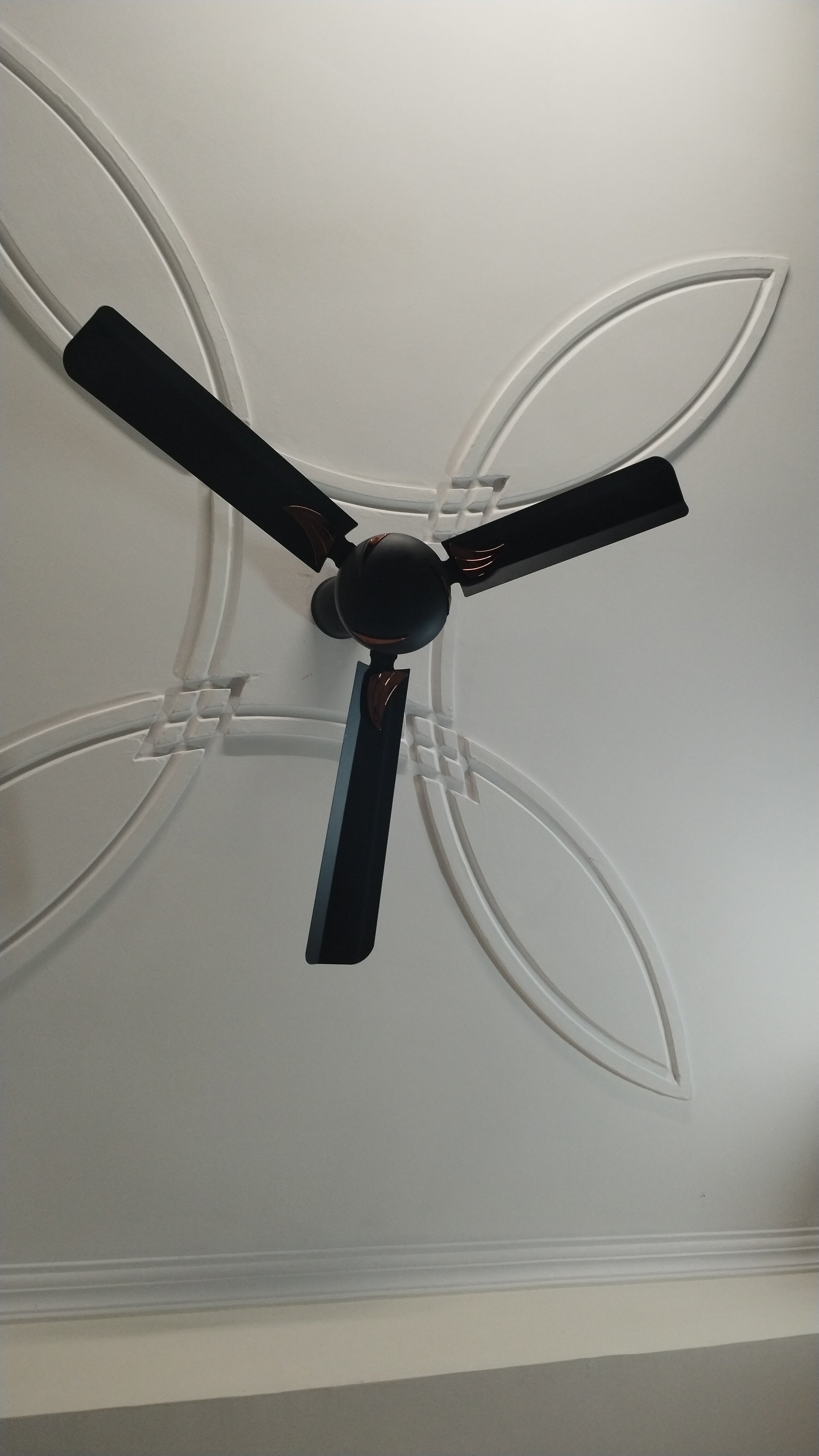 Customer Review Image