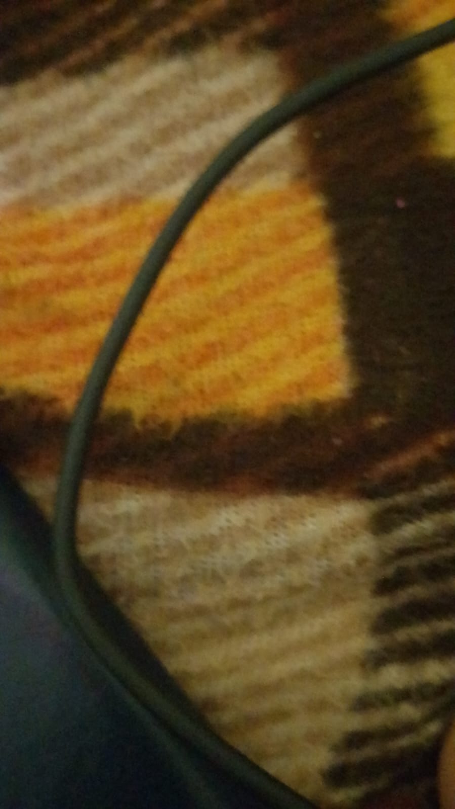 Customer Review Image