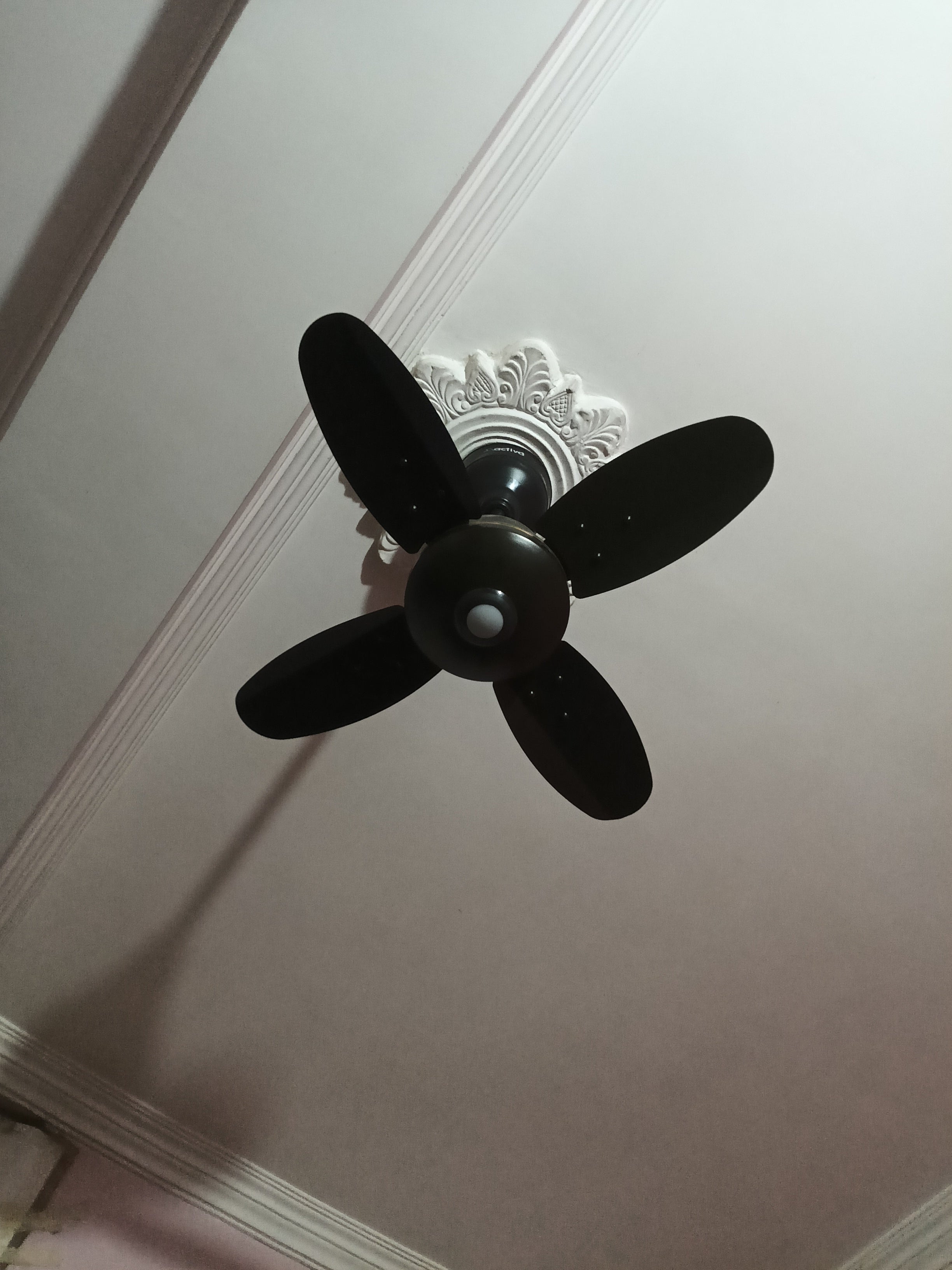 Customer Review Image