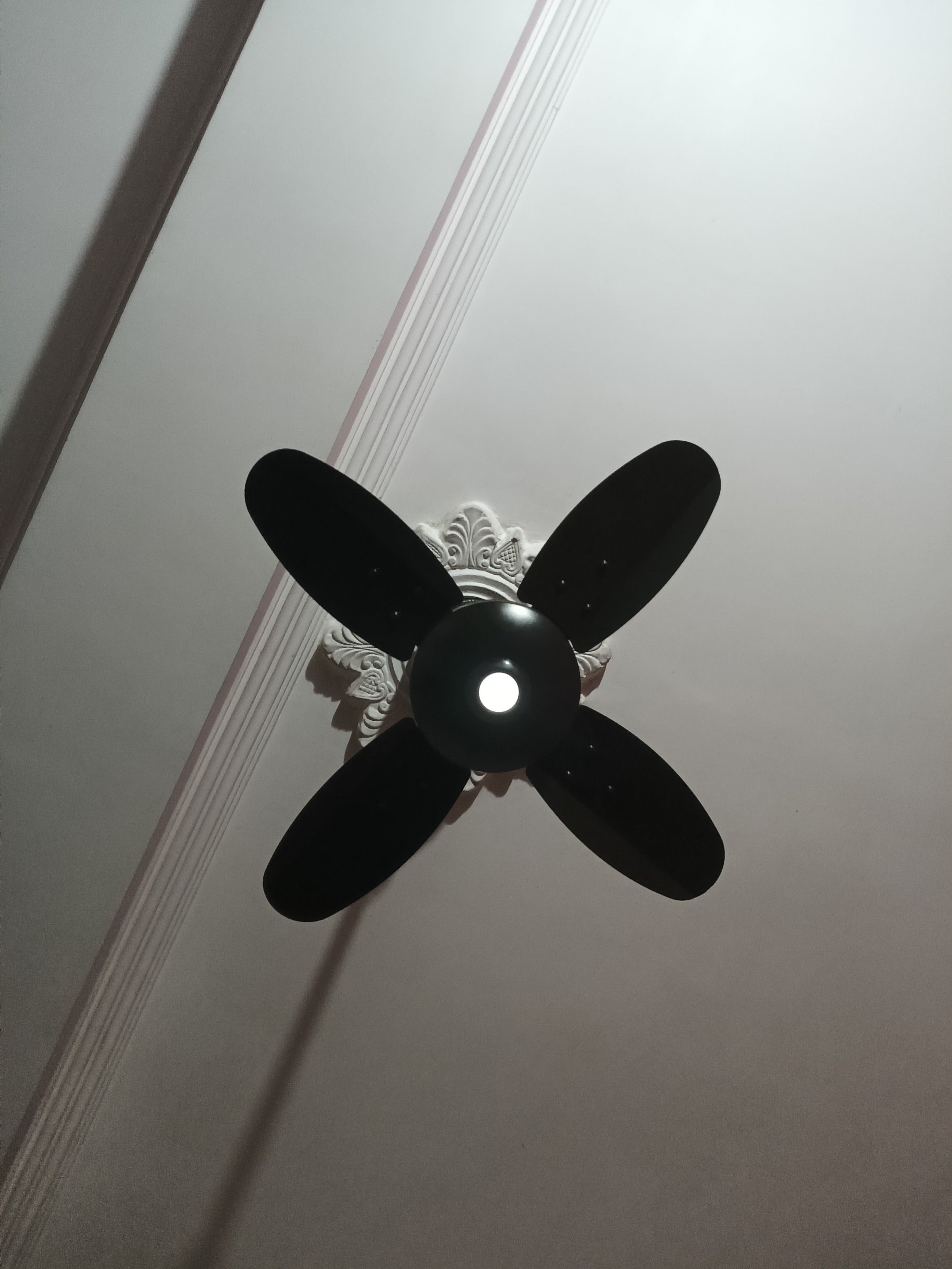 Customer Review Image