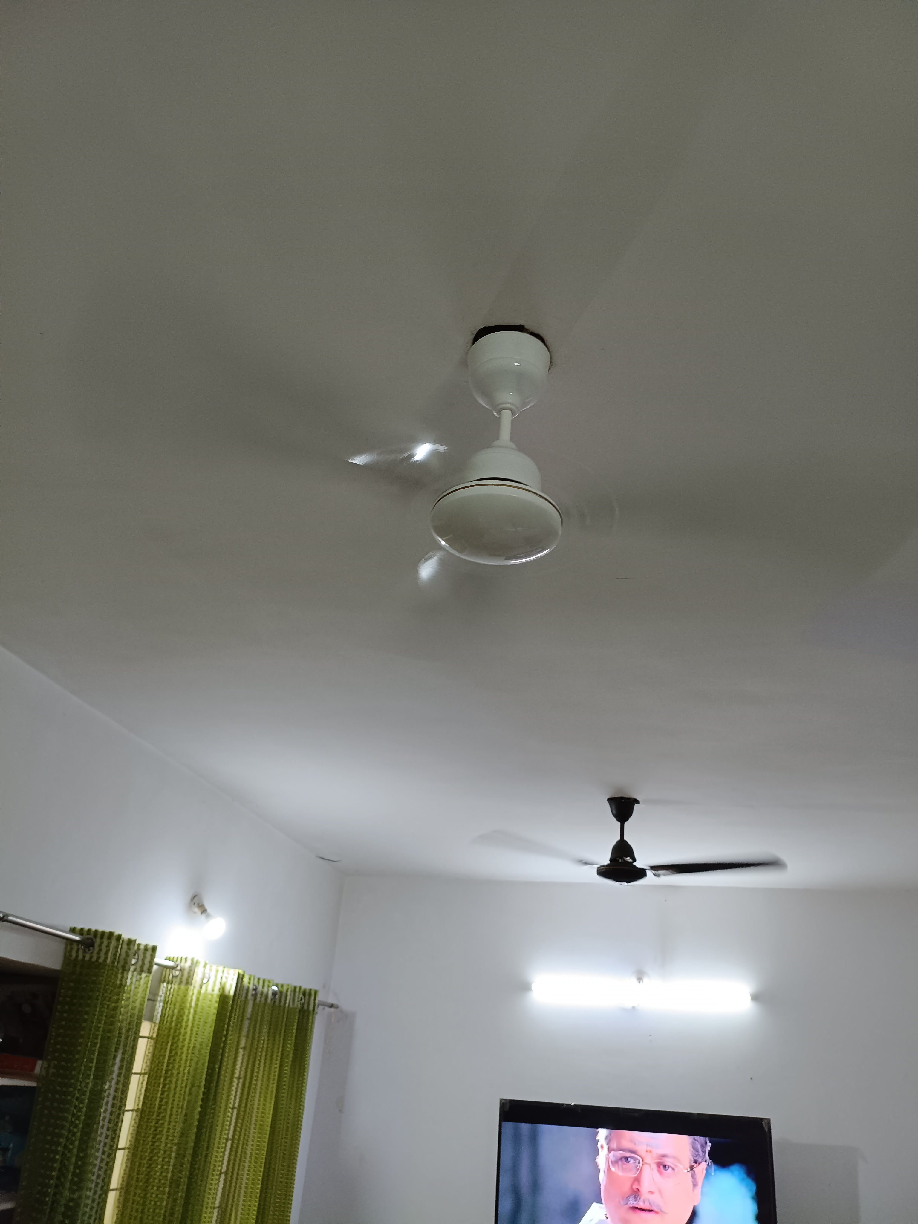 Customer Review Image