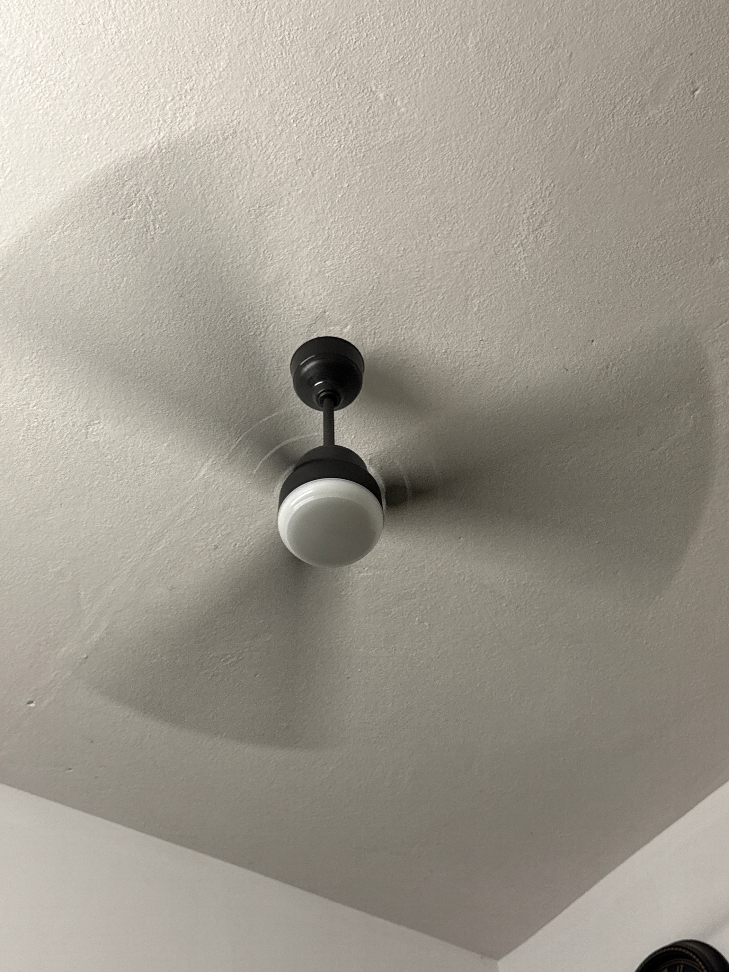 Customer Review Image