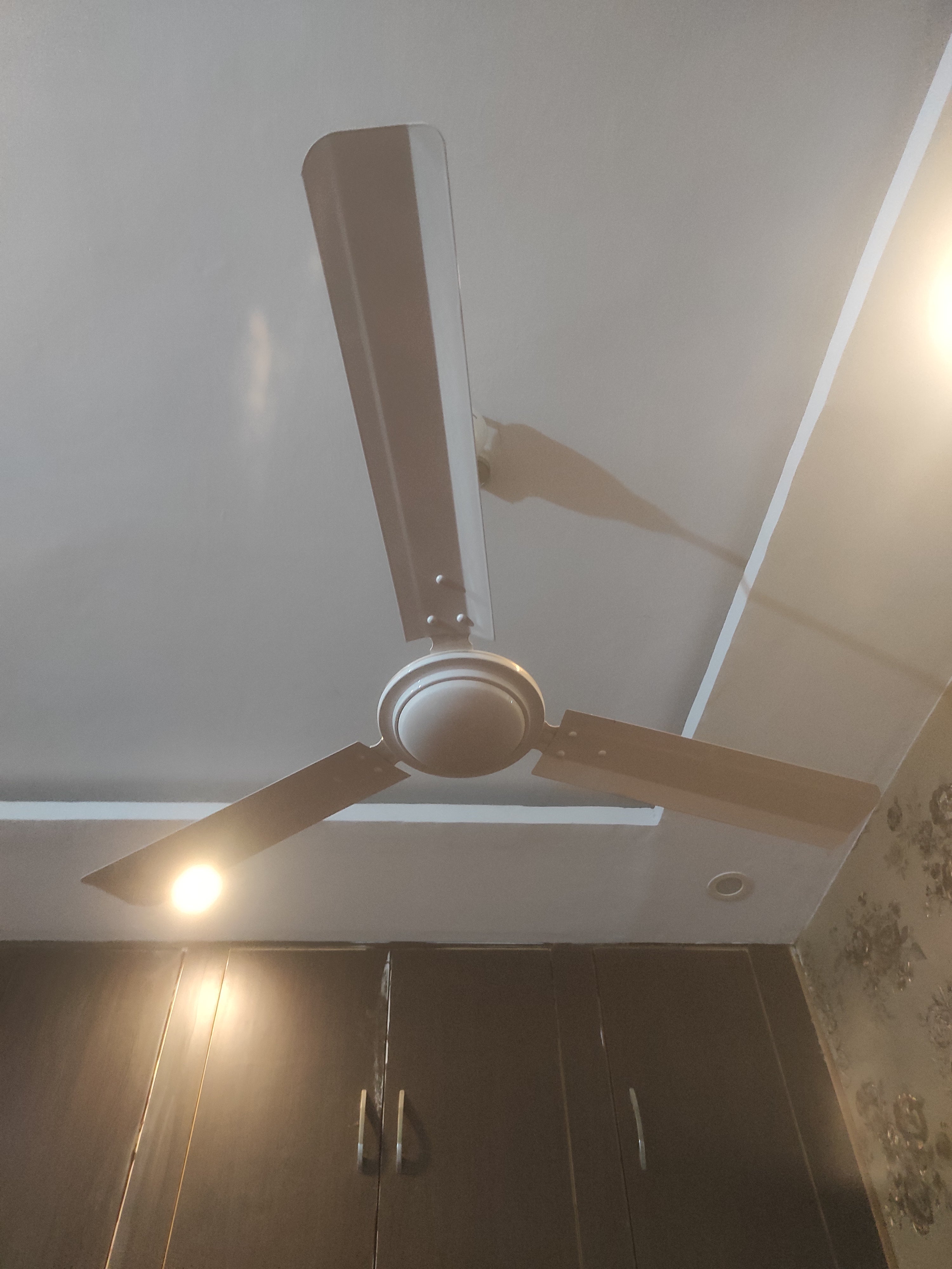 Customer Review Image