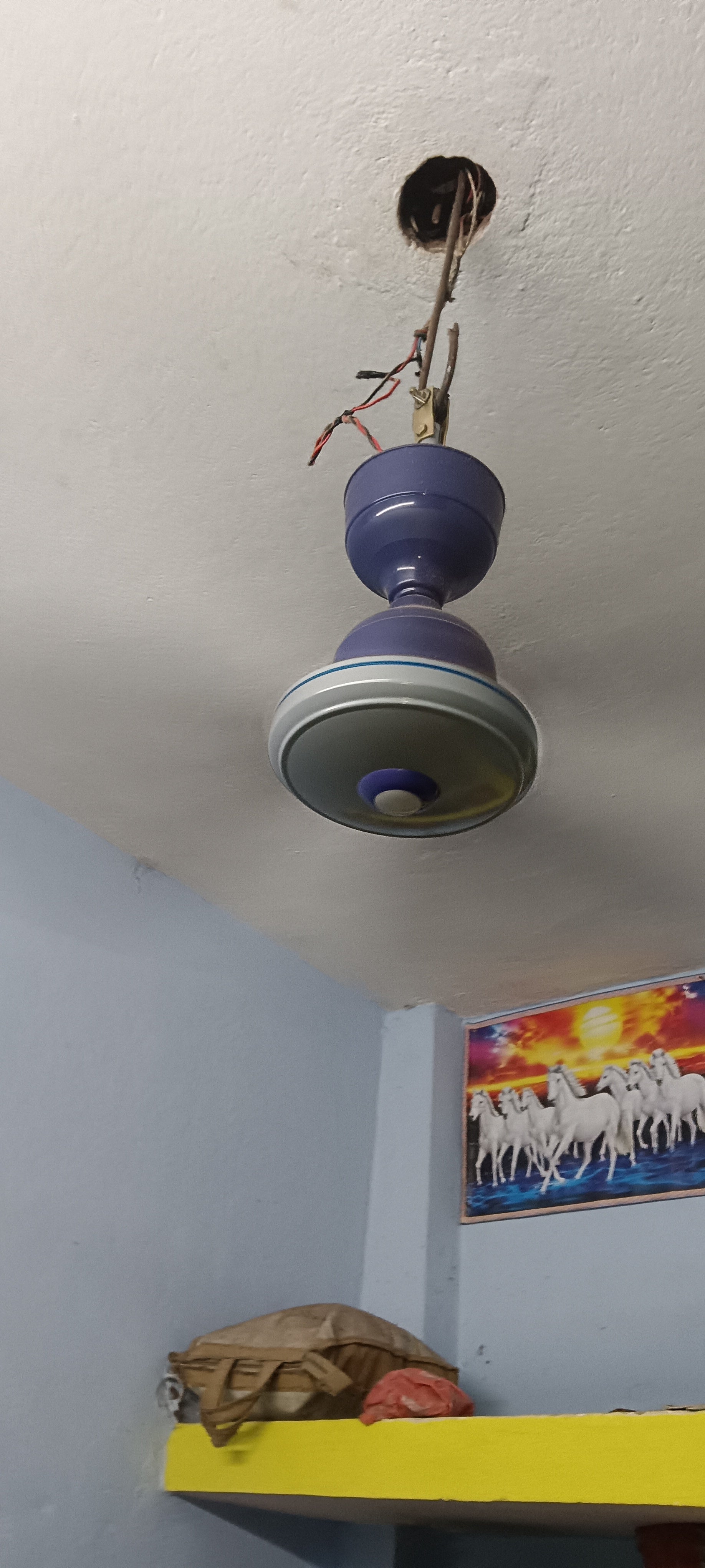 Customer Review Image