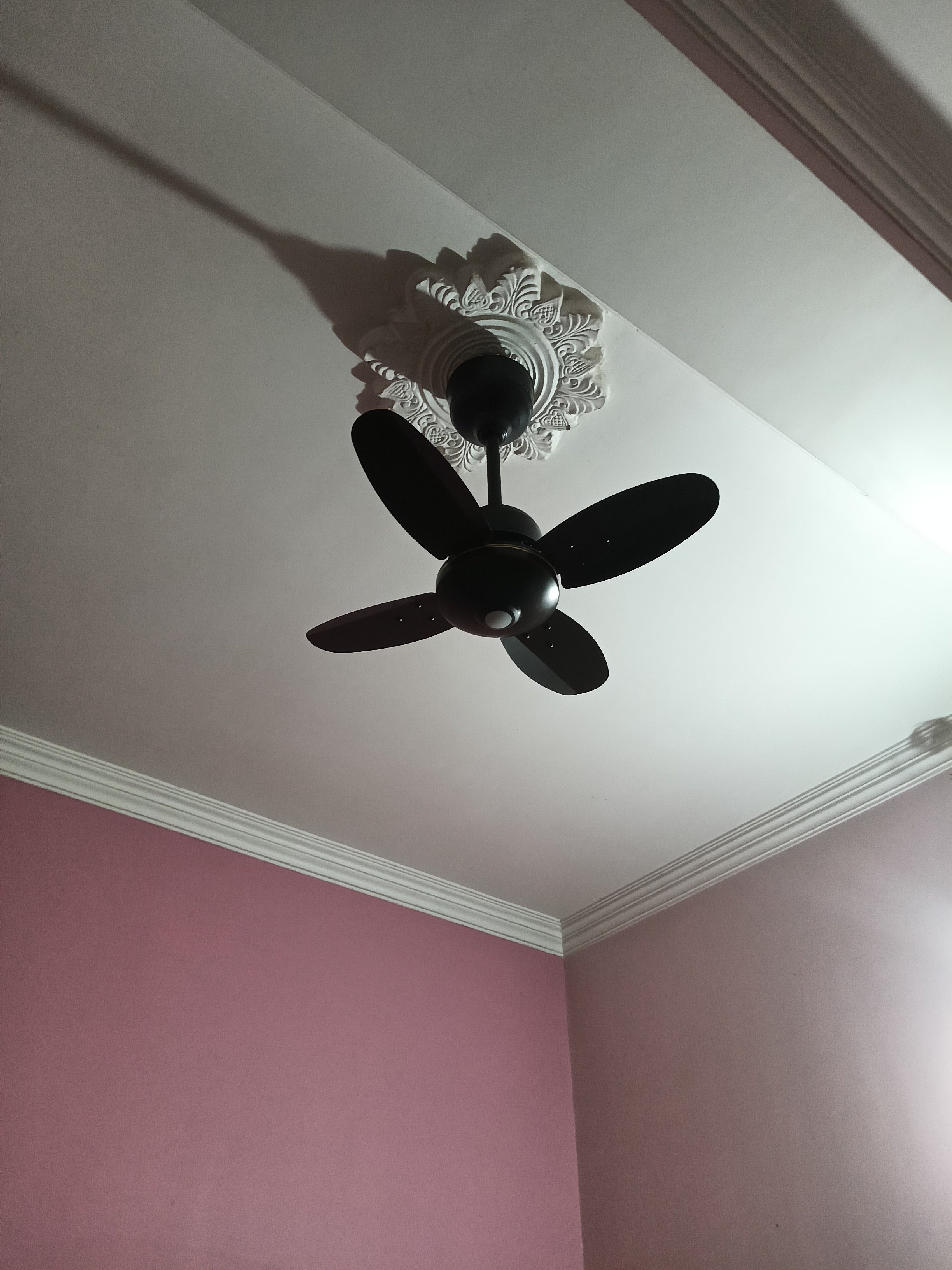Customer Review Image